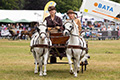 Malton Show 2024